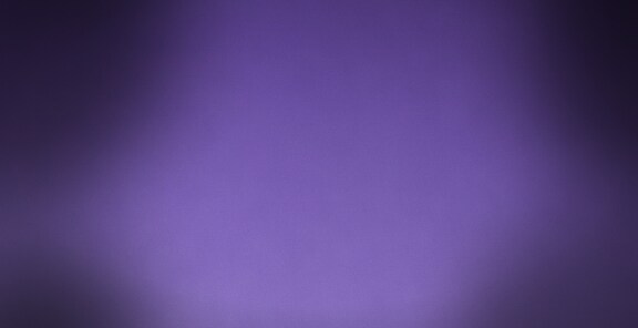 PALETTE (1)